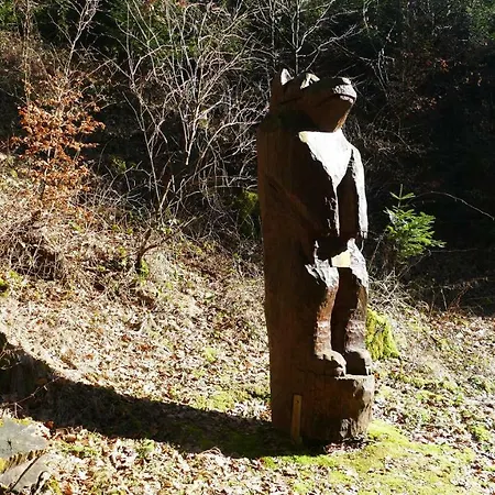 Guest Niederalfingen Daire *